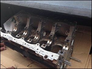 Motor foi pro saco-photo-17-.jpg