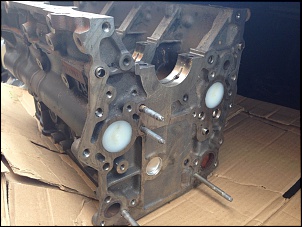 Motor foi pro saco-photo-15-.jpg