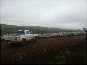 Hilux nova com pneu grande?-256379_369916183080938_938569389_o.jpg