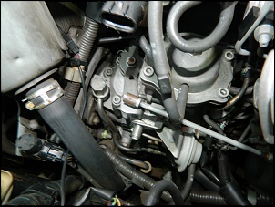 Bomba Injetora Hilux SW4 3.0 Turbo 1997, onde?-dscn1001.jpg