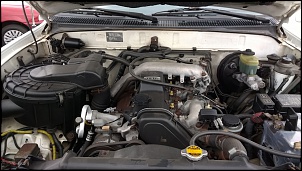 Ajuda na compra Hilux SW4 3.0 Turbo D 4x4 ano 99-hilux1.jpg