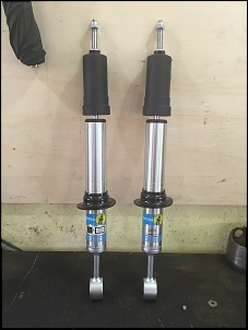 -foto-bilstein-redimensionada.jpg