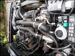 Procurando a primeira HiluxSW-20160202_185337.jpg