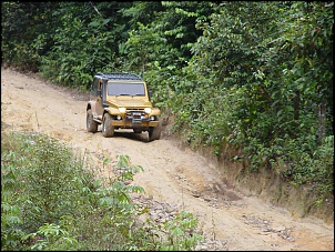 Trilhas No Amazonas-dsc00040.jpg