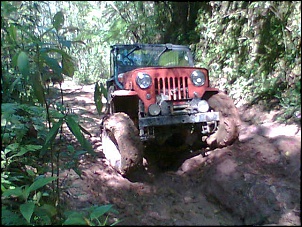 Trilha do 90-imag060.jpg