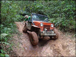 Trilha do 90-b998.jpg