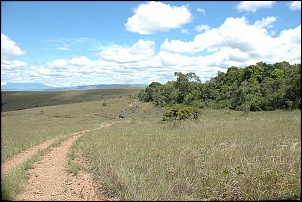 Trilhas No Amazonas-dsc_0389.jpg