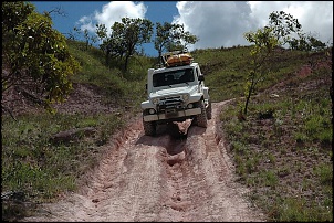 Trilhas No Amazonas-dsc_0452.jpg