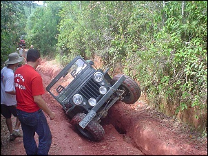 Serra do Japi-japi-pinheirinho-007.jpg
