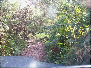 Trilha/Passeio - PARANAPIACABA-barreira.jpg