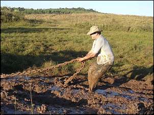 Trilhas no Sul-dscn1738-2.jpg