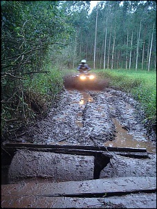 Trilhas no Sul-quadis-trilha-069.jpg