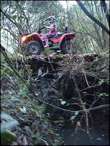 Trilhas no Sul-quadis-trilha-053.jpg