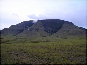 SERRA DO SOL - Brasil + Venezuela + Guyana-serra_do_sol_04.2005_040_157.jpg