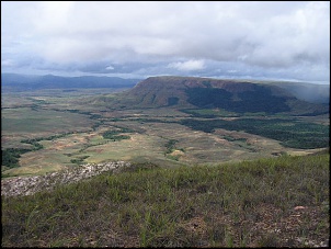 SERRA DO SOL - Brasil + Venezuela + Guyana-serra_do_sol_04.2005_023_179.jpg