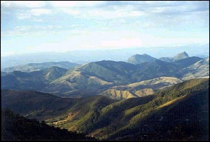 -papagaio-2.jpg