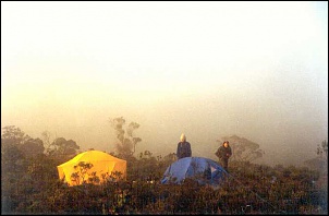 -papagaio-4.jpg