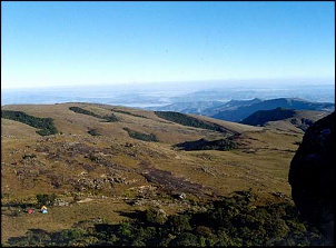 -papagaio.jpg