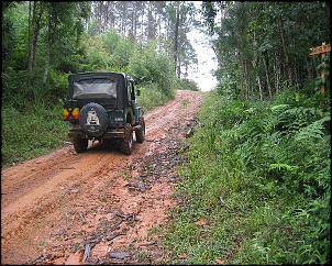 Jicoxinha II - Cotia, Paca, Tatu, Lontra...!??!-jicoxinha_ii__004__891.jpg