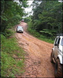 Jicoxinha II - Cotia, Paca, Tatu, Lontra...!??!-jicoxinha_ii__005b__202.jpg