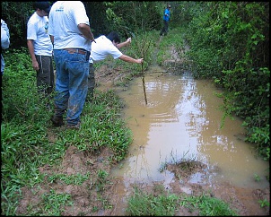 Jicoxinha II - Cotia, Paca, Tatu, Lontra...!??!-jicoxinha_ii__012__208.jpg