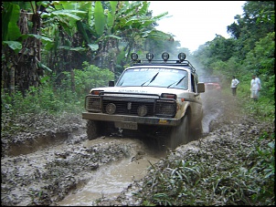Jicoxinha II - Cotia, Paca, Tatu, Lontra...!??!-trilha4_252.jpg