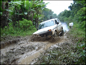 Jicoxinha II - Cotia, Paca, Tatu, Lontra...!??!-trilha2_189.jpg