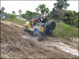Trilhas No Amazonas-m17.jpg