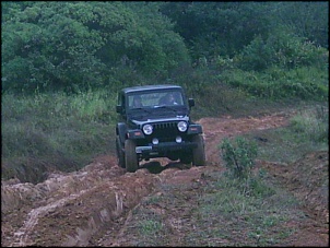 TRILHA DE PARANAPIACABA - Domingo 22 de Junho-paranapiacaba-013.jpg
