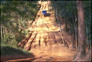 Trilha do Pinheirinho - Domingo dia 13/07-pinhejuln.jpg