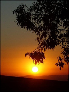 -sao-thome-201.jpg