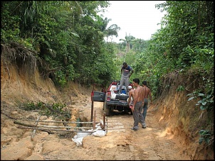 Trilhas No Amazonas-c.jpg