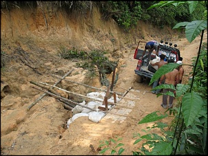 Trilhas No Amazonas-a2.jpg