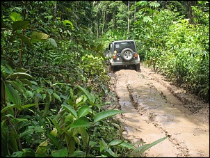 Trilhas No Amazonas-albuma-v6.jpg