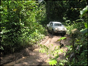 Trilhas No Amazonas-albuma-v15.jpg