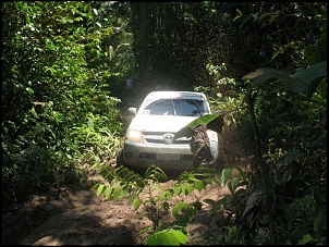Trilhas No Amazonas-albuma-v22.jpg