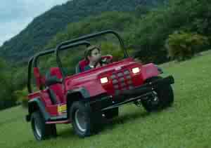 Trilha leve no Rio de Janeiro-jeep_adv1_193.jpg