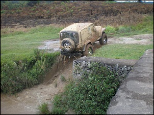 Macaco e Presunto, onde?-wrangler.jpg