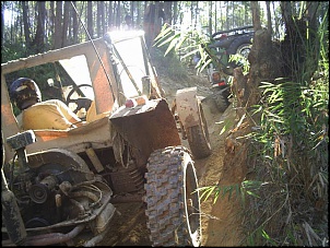 -s2020193_198.jpg