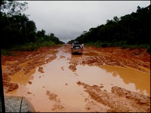 Trilhas No Amazonas-n1.jpg