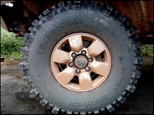 Trilhas No Amazonas-n11.jpg