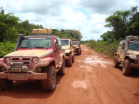 Trilhas No Amazonas-exped19trans.jpg