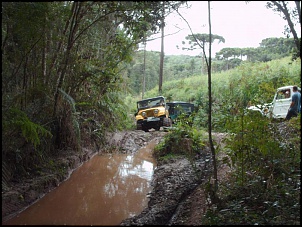 To indo pra trilha - curitiba-pr-trilha-loka-306.jpg