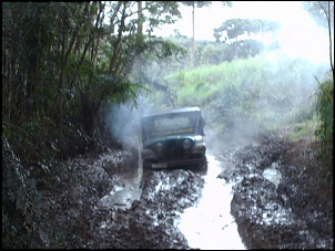 To indo pra trilha - curitiba-pr-trilha-loka-320.jpg