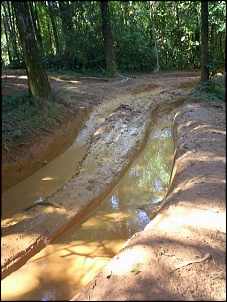 TRILHA TORRES E PINHEIRINHO-cimg0970_125.jpg