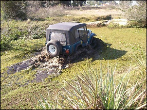Trilhas no Sul-trilha-itapua-089.jpg