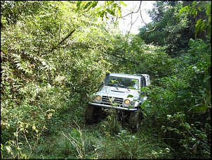 Trilhas Campo Grande Jeep Clube-trilha-alegria-junho-2009-081.jpg