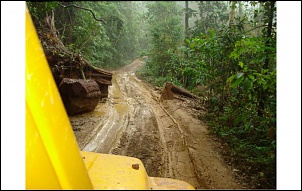 Trilha de Castelhanos - Ilhabela-dsc01454_jpg.jpg