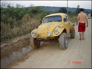 Trilha de Castelhanos - Ilhabela-baja-ap-26.jpg
