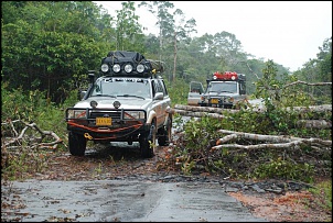 BR-319 Porto Velho a Manaus-amazonia-178.jpg